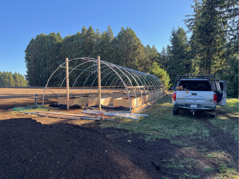 20' greenhouse