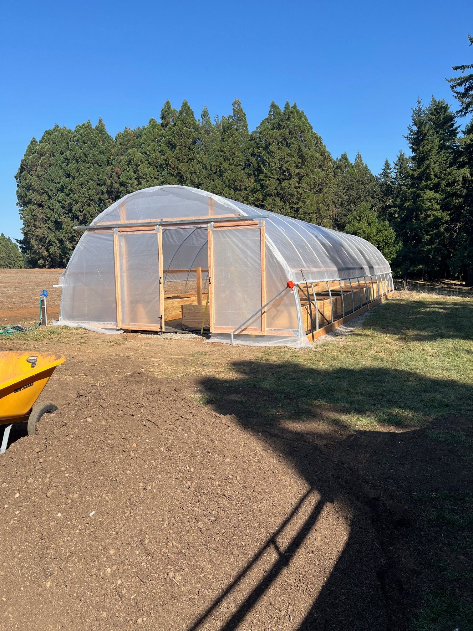 20' greenhouse